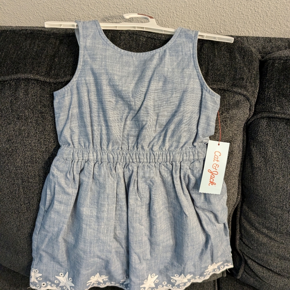 Cat and Jack girls dress
